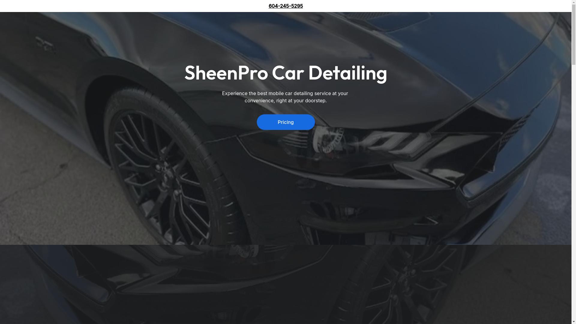 website screenshot of https://sheenprocardetailing.shop/