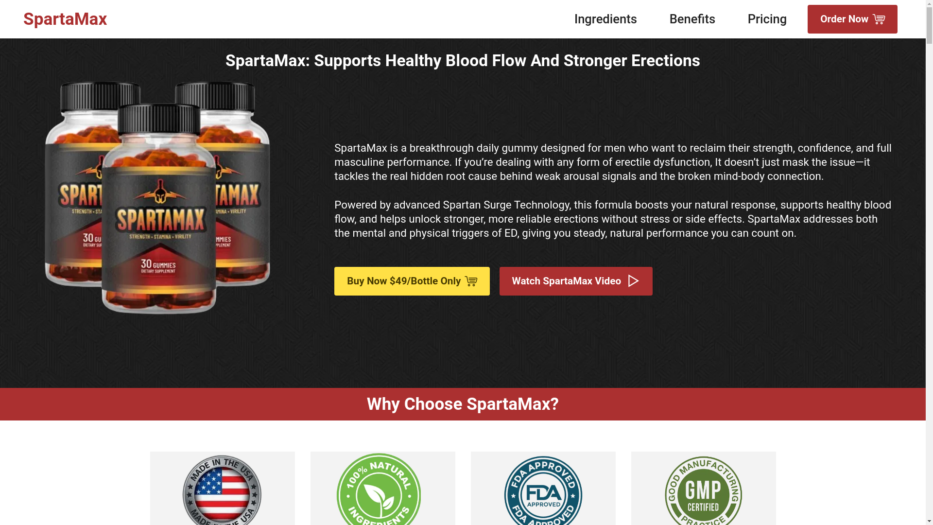 website screenshot of https://sparta-max.com/