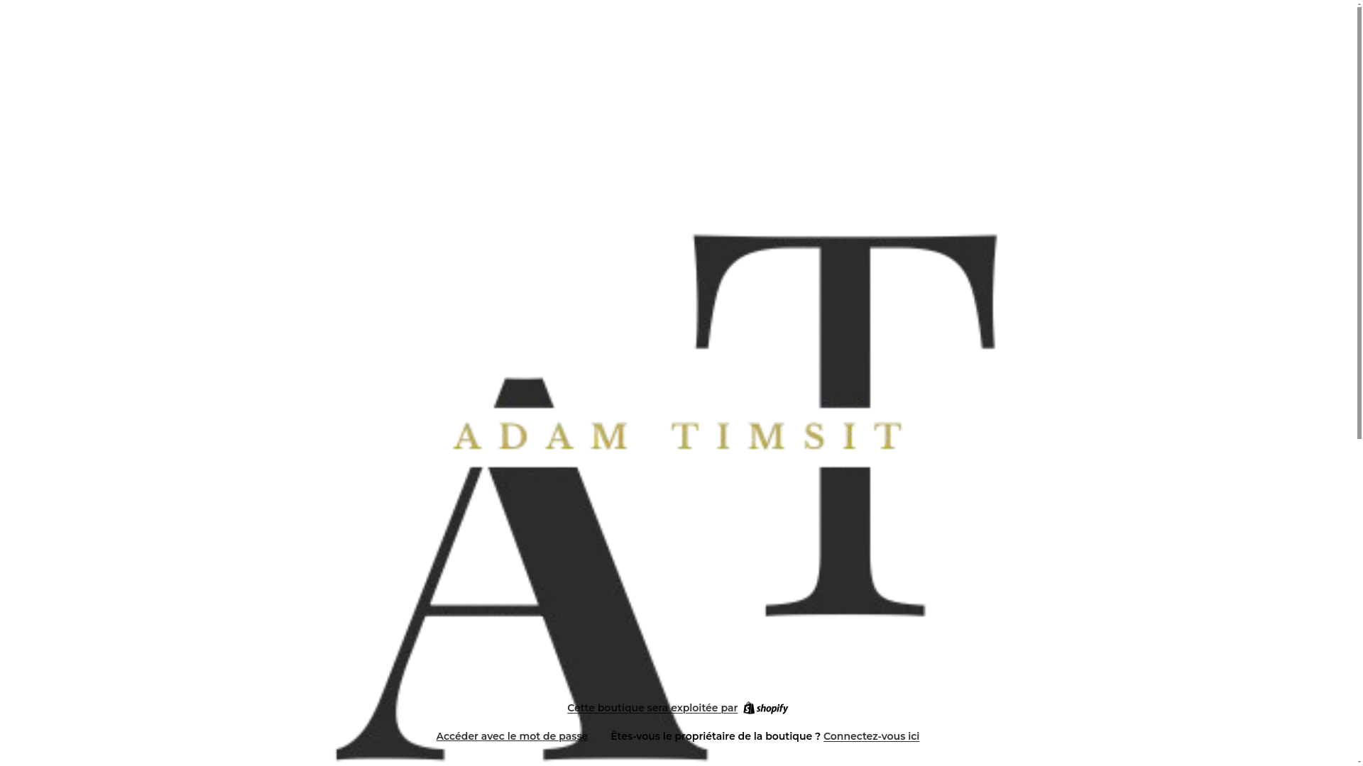 website screenshot of https://adamtimsit.com/