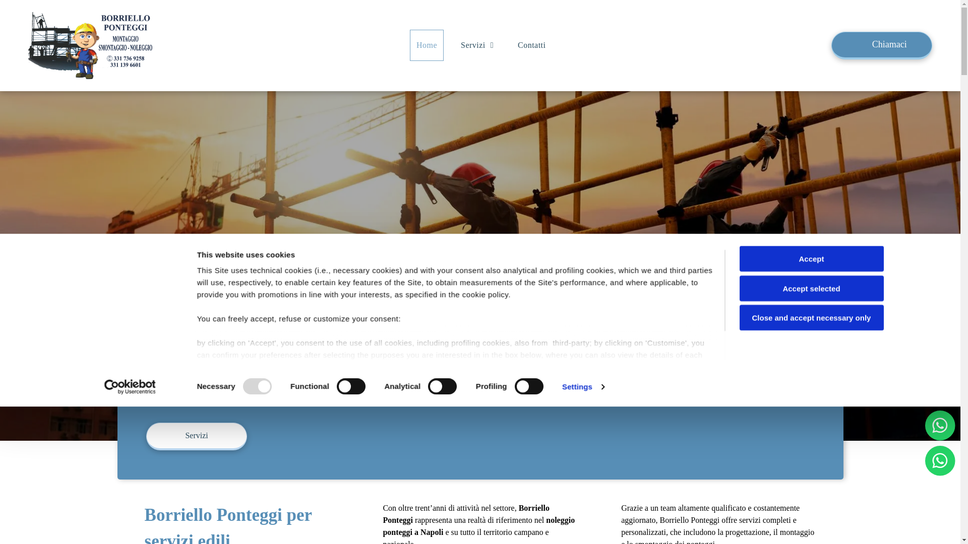 website screenshot of https://borrielloponteggi.com/
