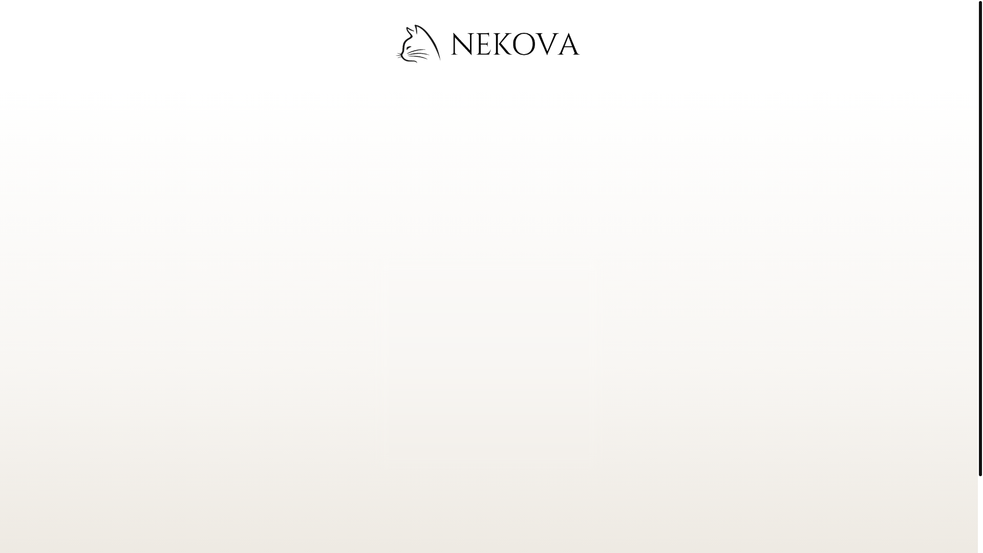 website screenshot of https://nekova.shop/