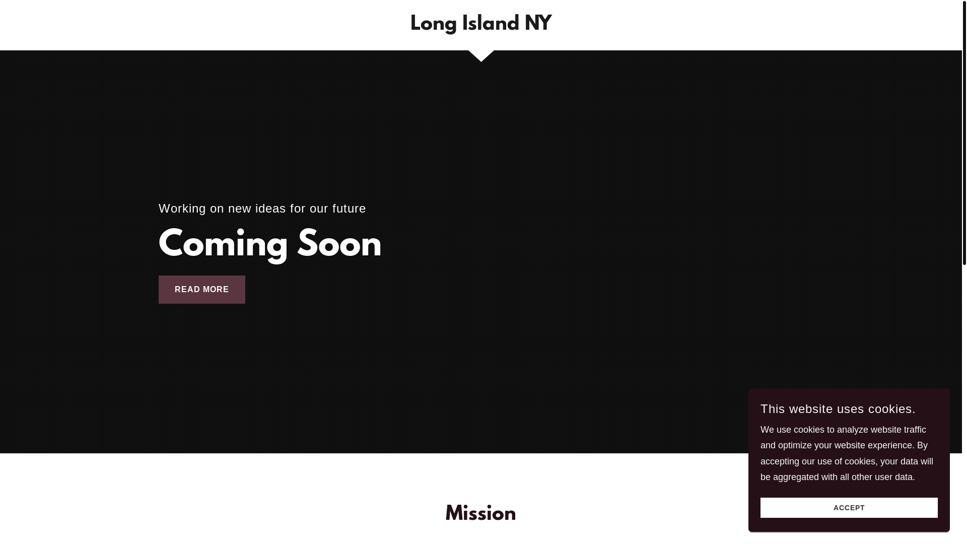 website screenshot of https://gallant-for-ny.com/