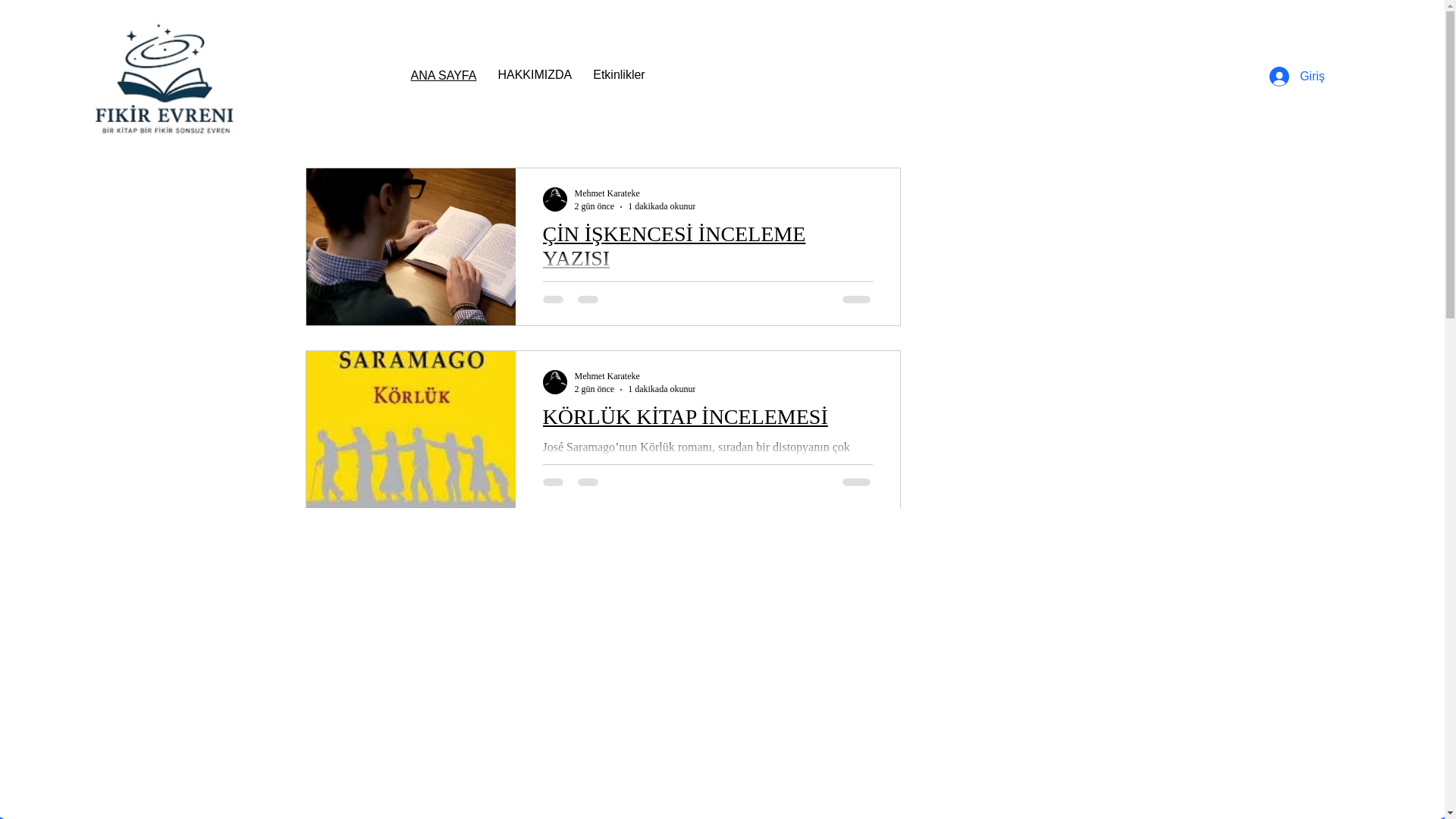 website screenshot of https://fikirevreni.blog/