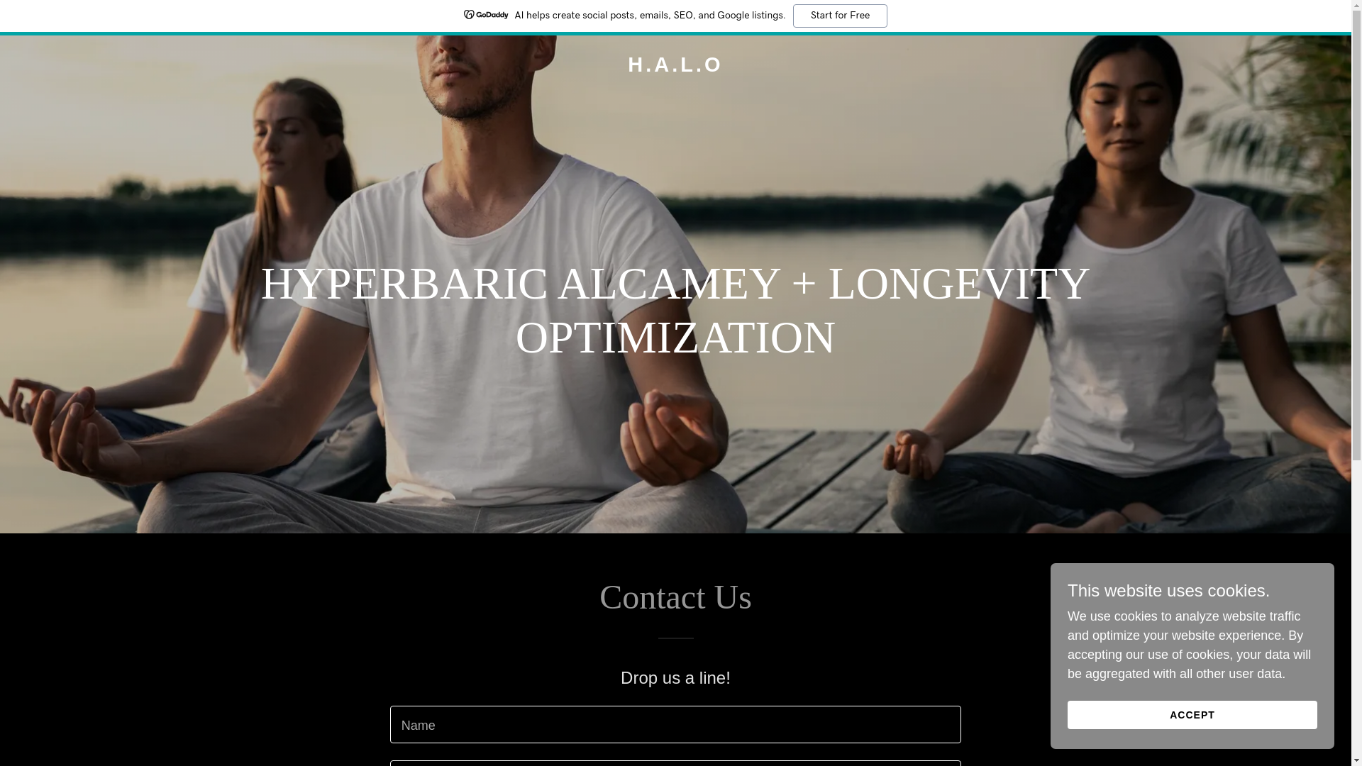 website screenshot of https://halo-o2.com/