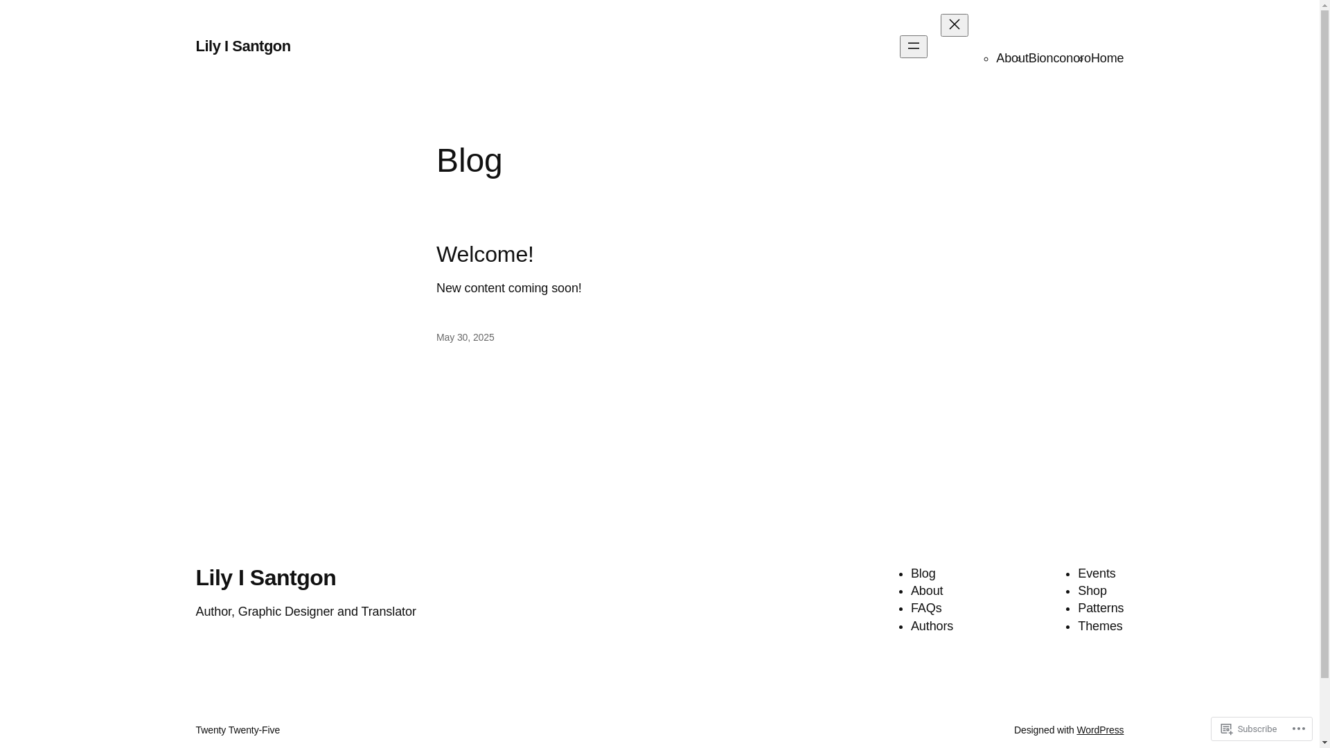 website screenshot of https://lilyisantgon.com/