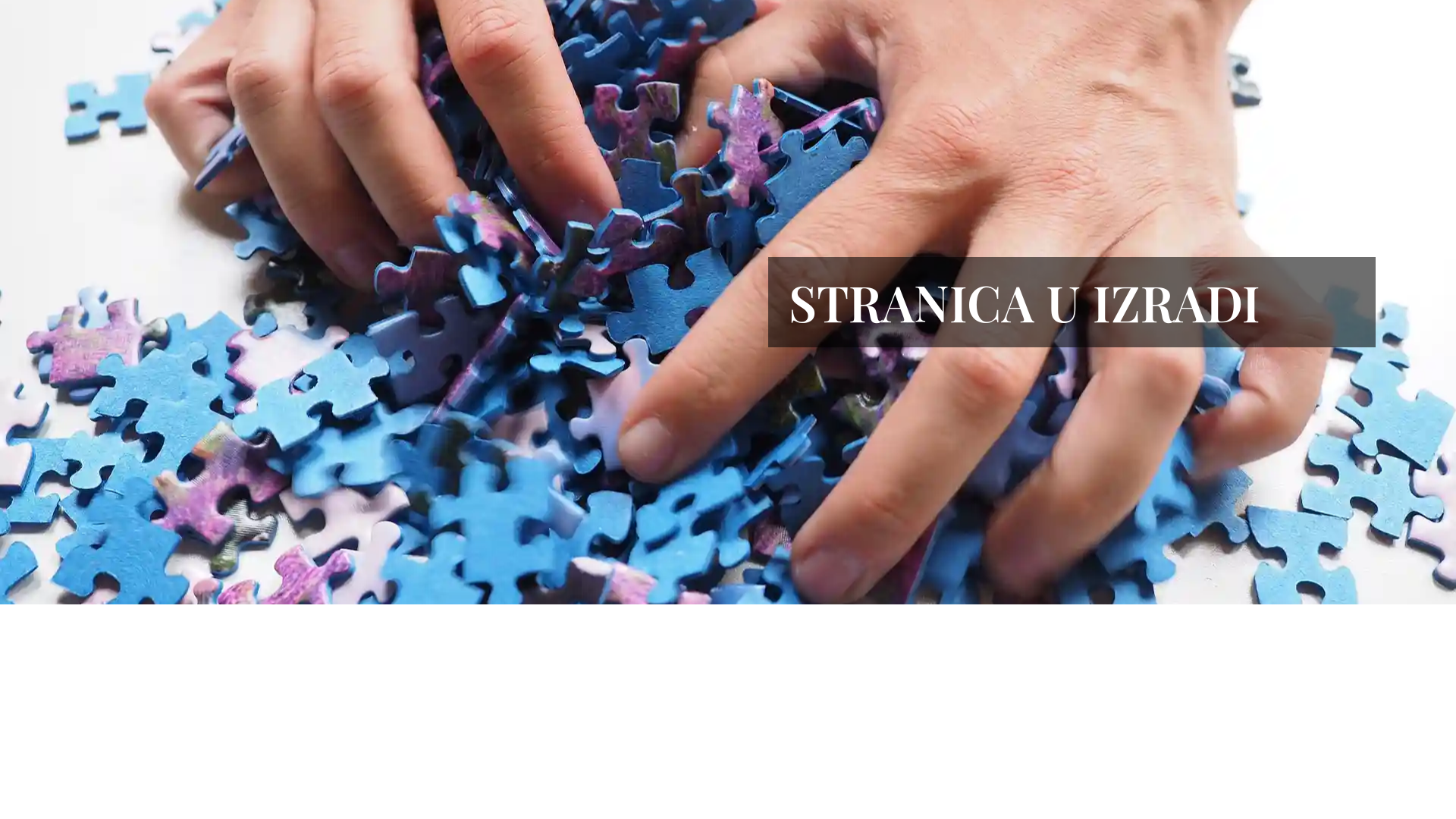 website screenshot of https://strausschristmasgala.com/