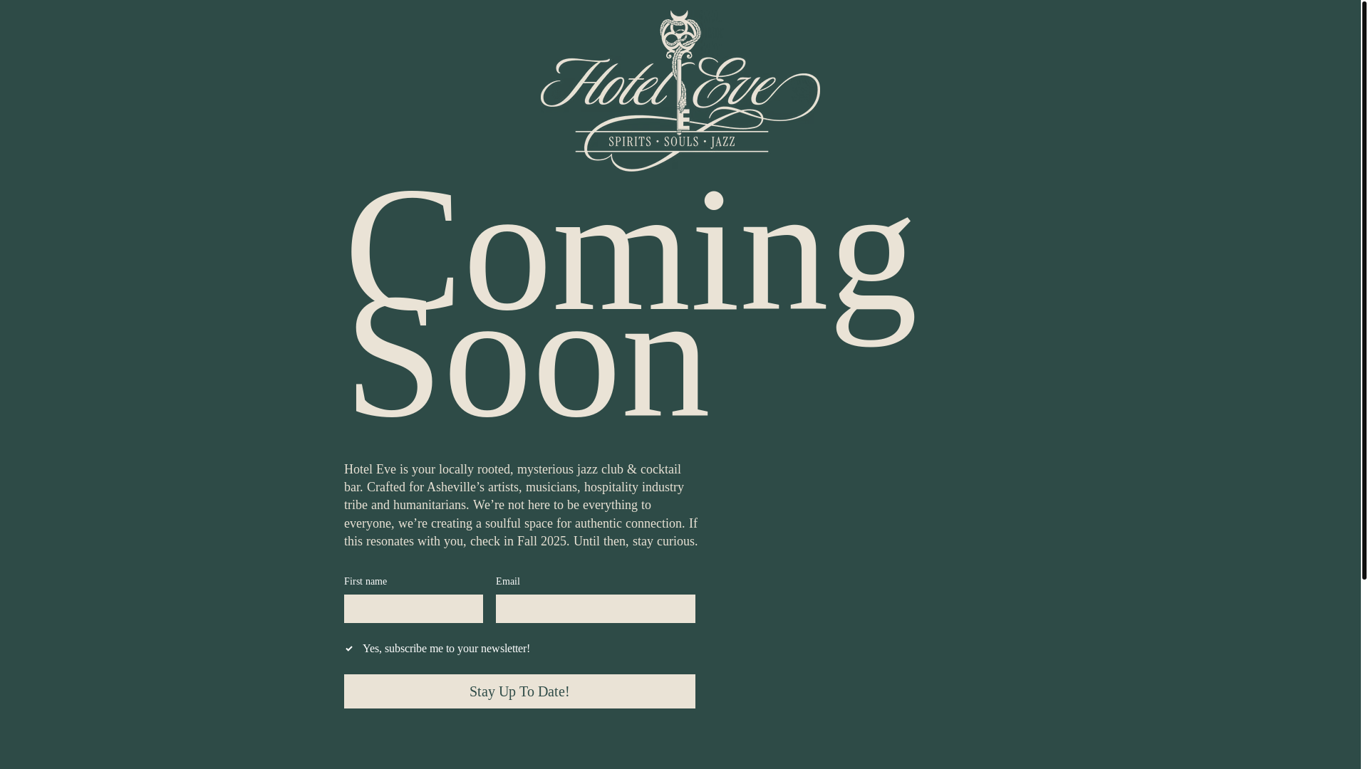 website screenshot of https://hotelevejazz.com/