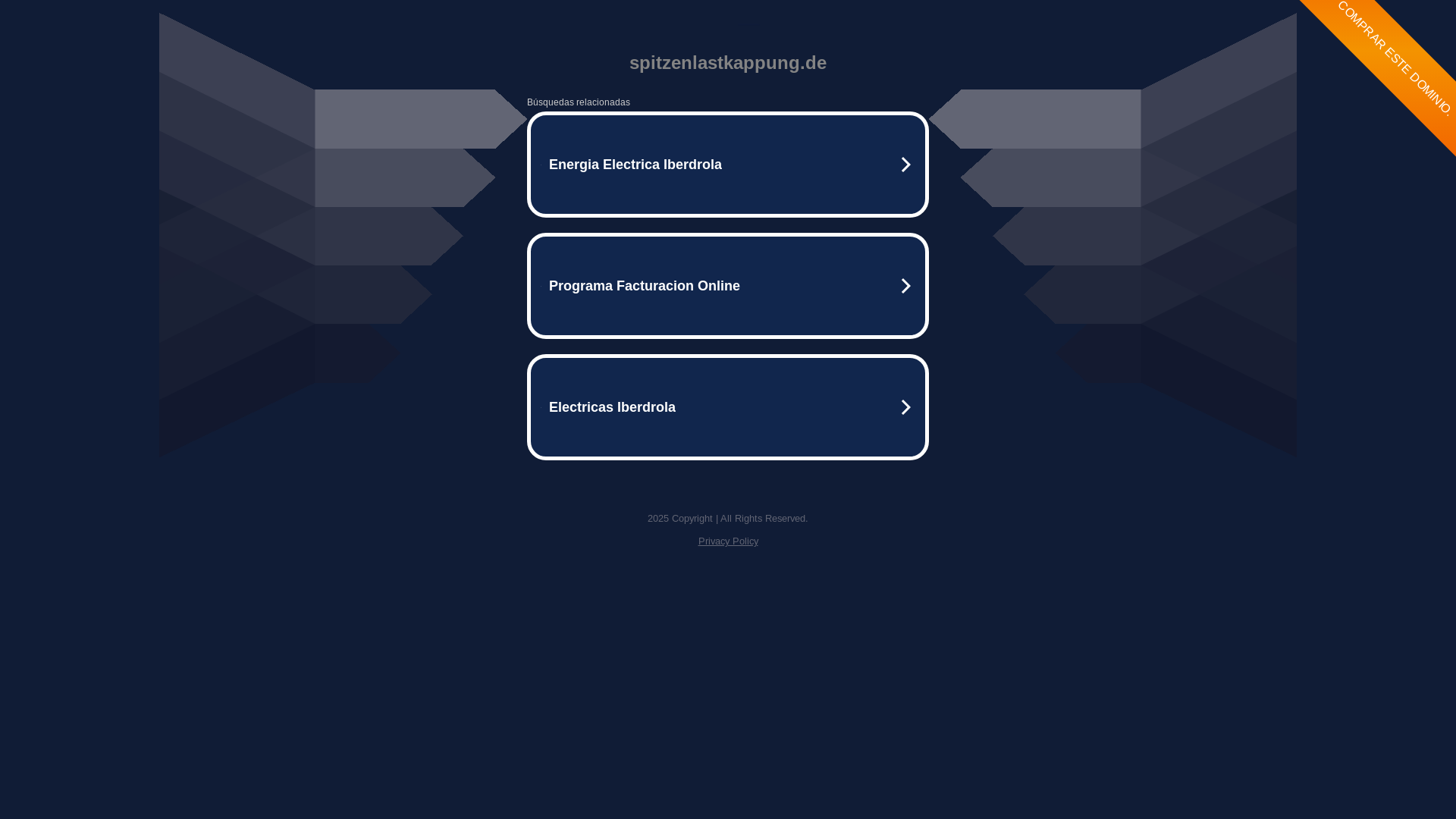 website screenshot of https://spitzenlastkappung.de/