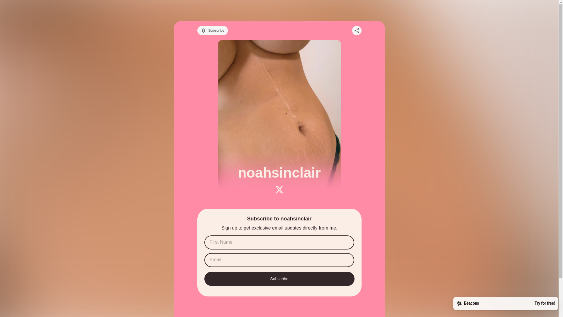 website screenshot of https://noahsinclair.store/