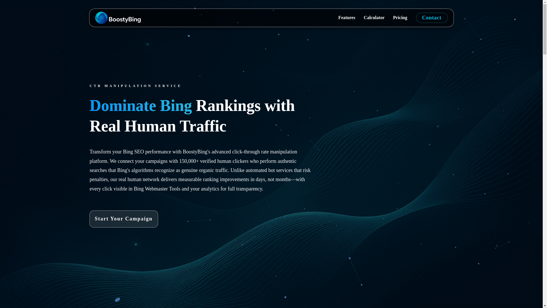 website screenshot of https://boostybing.com/