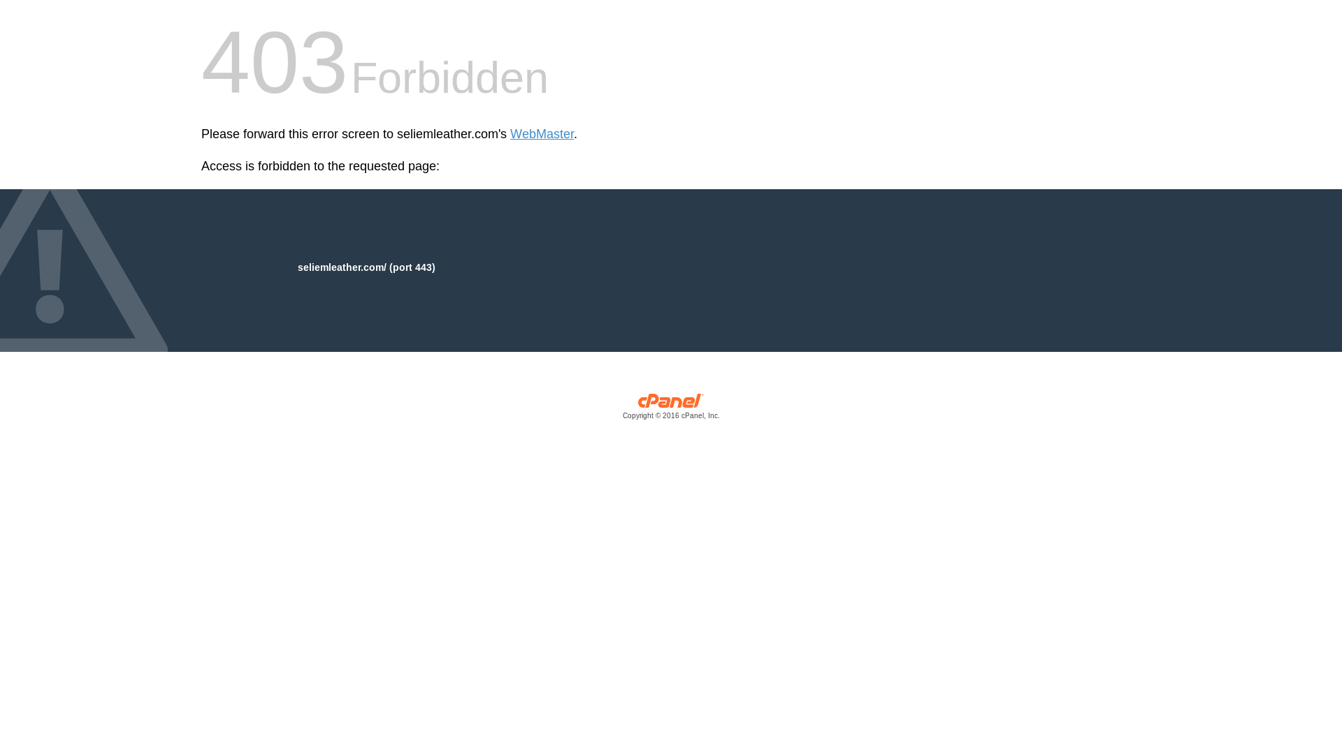 website screenshot of https://seliemleather.com/