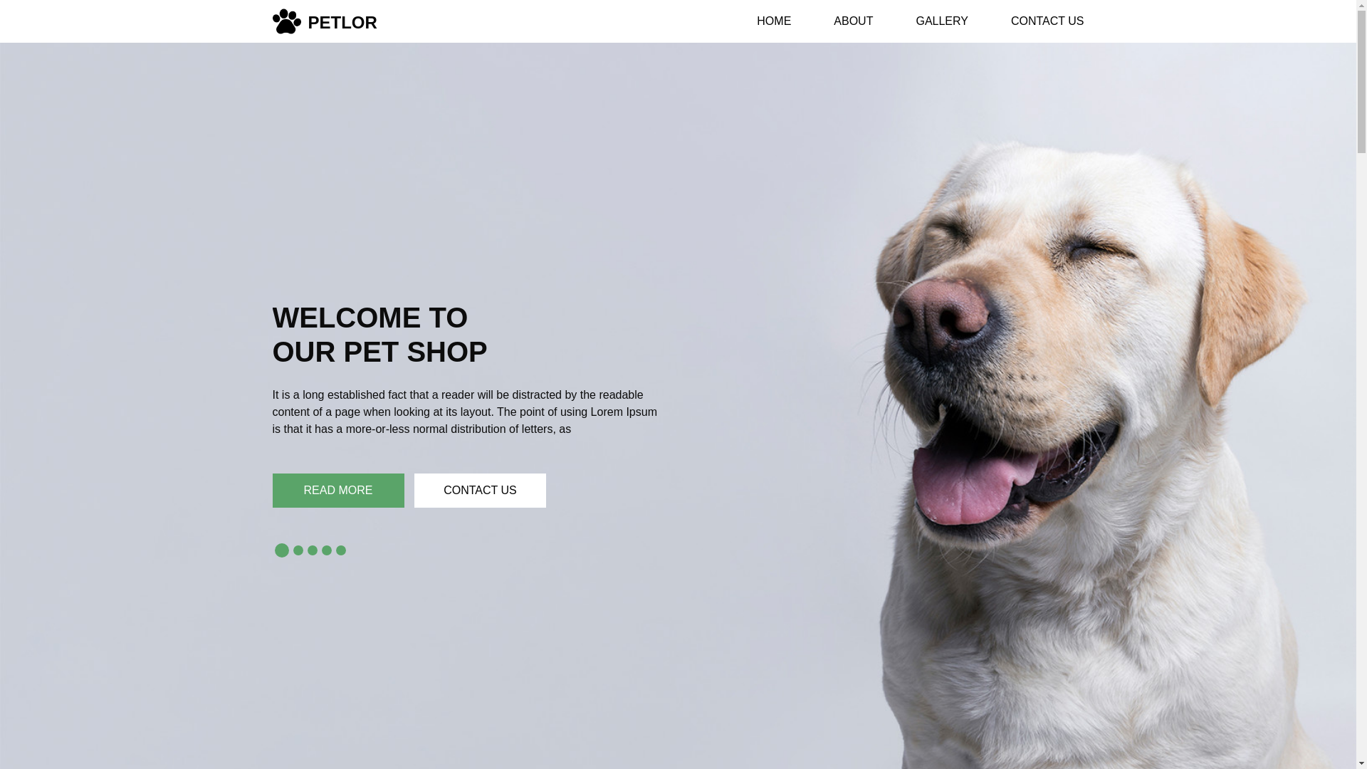 website screenshot of https://casadelargos.com/