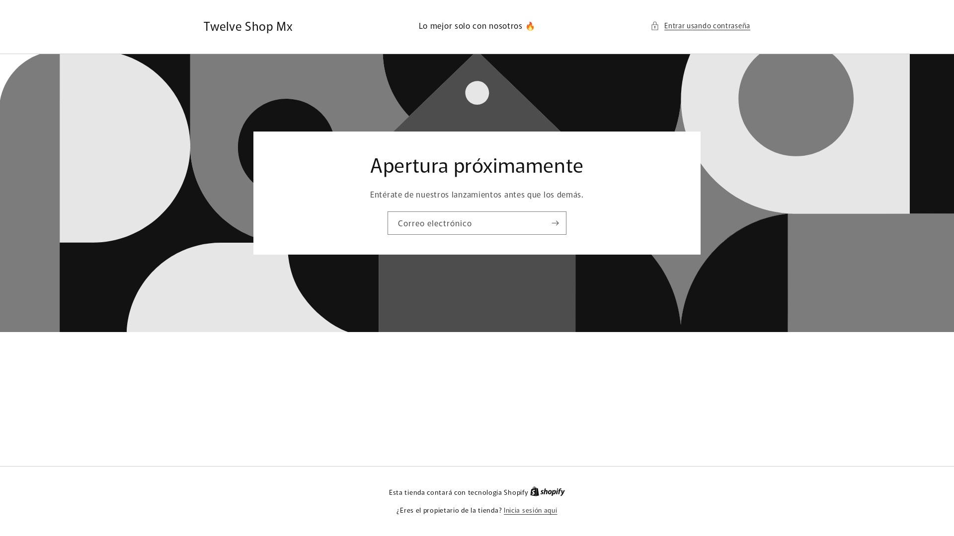 website screenshot of https://twelveshopmx.com/