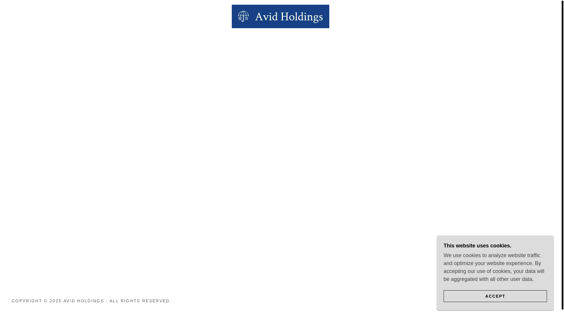 website screenshot of https://avidholdingscapital.com/