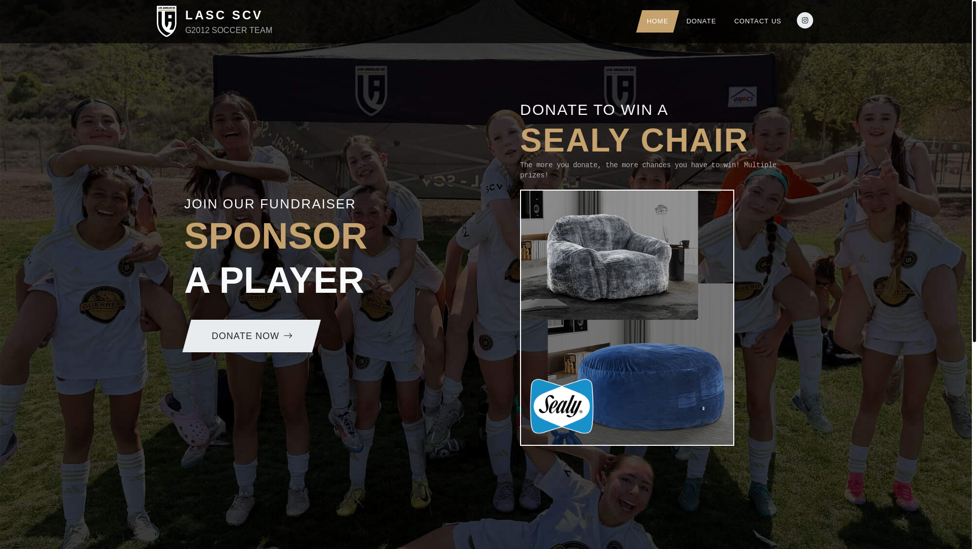 website screenshot of https://lasc-scv-g2012.com/