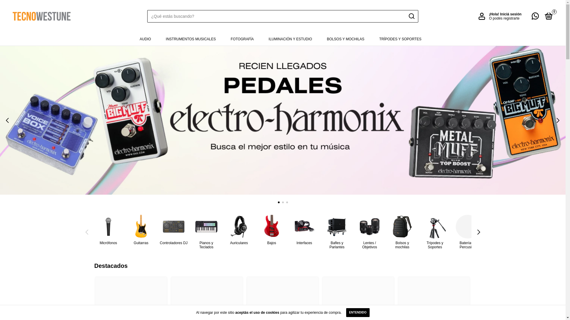 website screenshot of https://tecnowestune.com.ar/