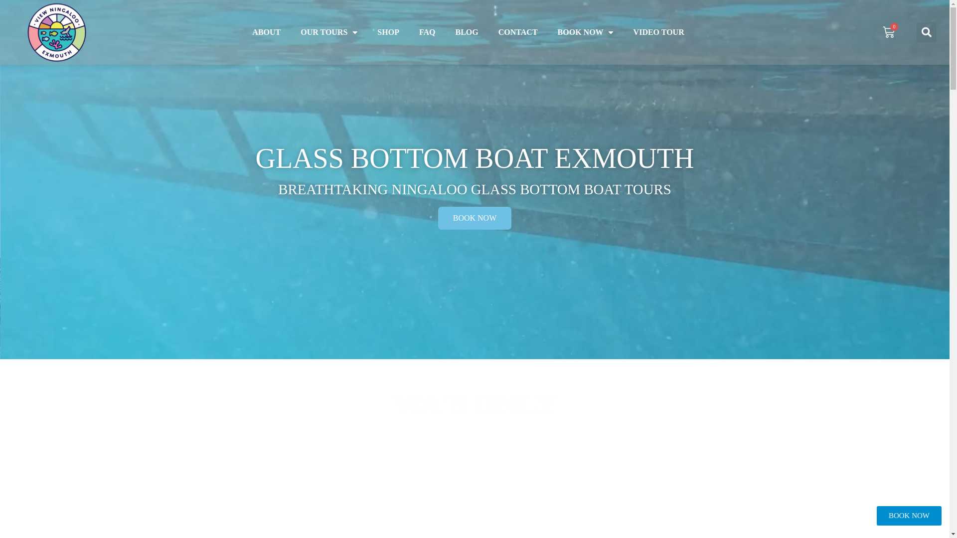 website screenshot of https://viewningaloo.online/