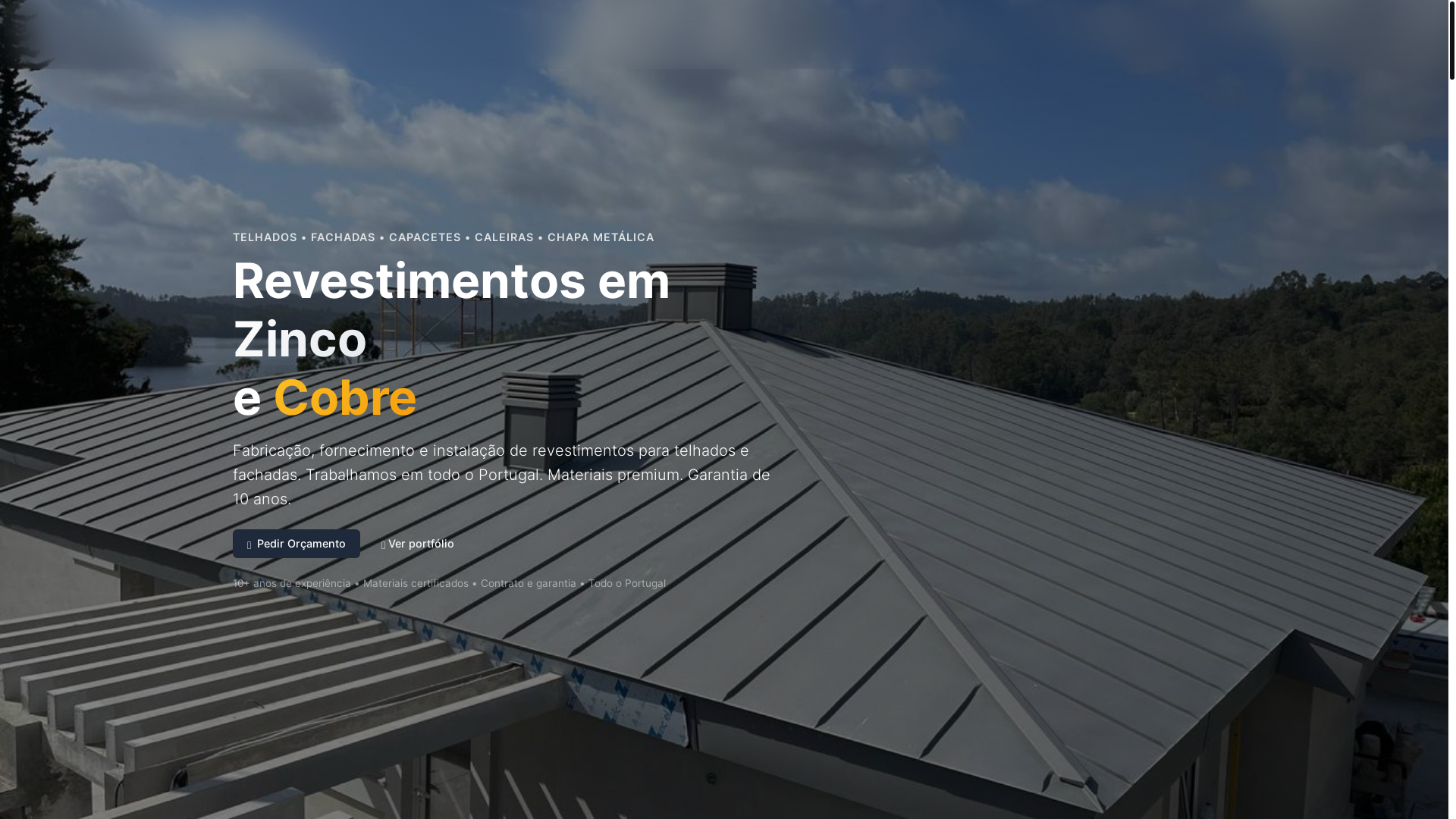 website screenshot of https://zincart.pt/