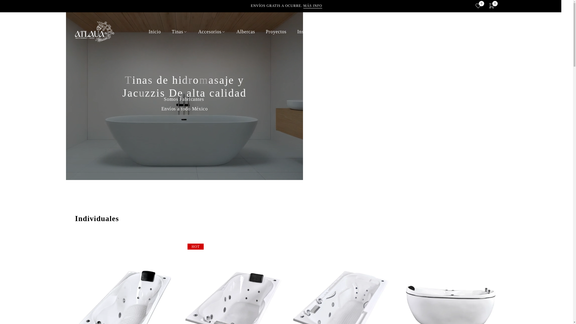 website screenshot of https://tinasatlaua.com.mx/