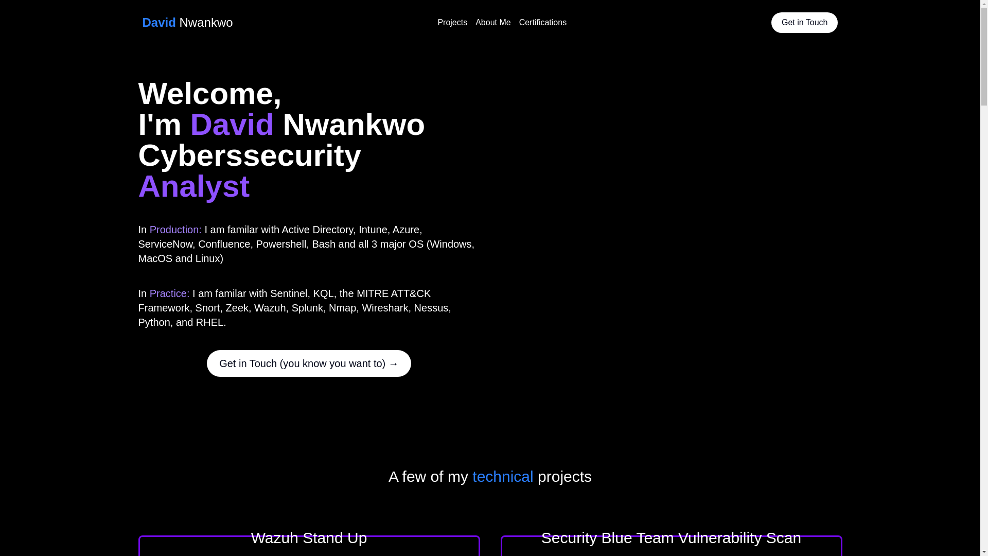 website screenshot of https://nwankwo.xyz/