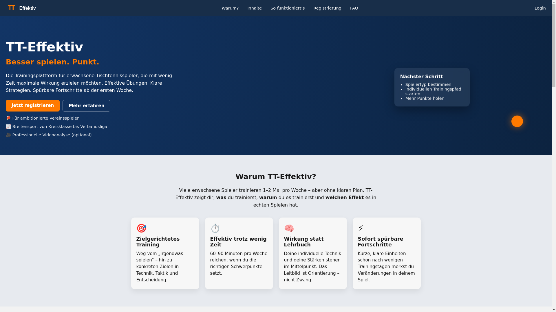 website screenshot of https://tteffektiv.de/