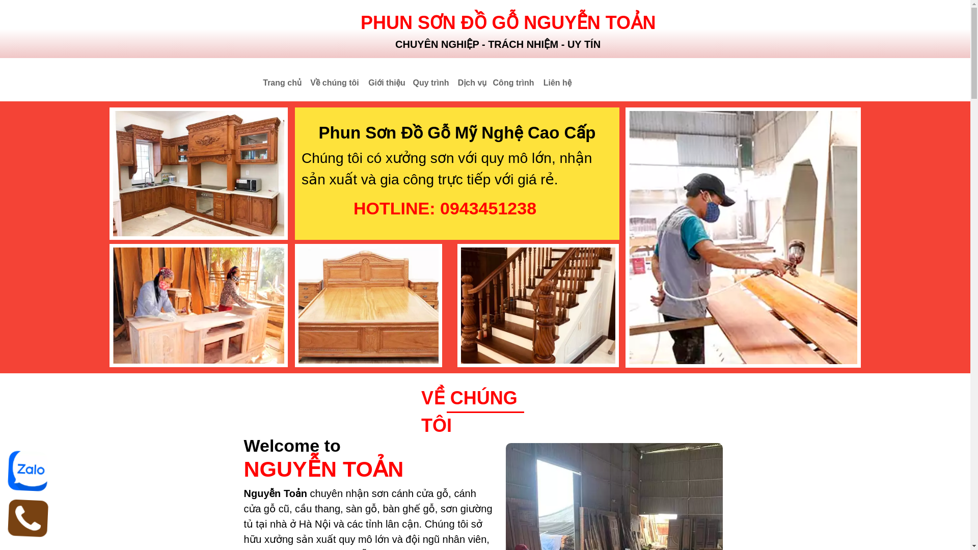 website screenshot of https://sondogonguyentoan.site/