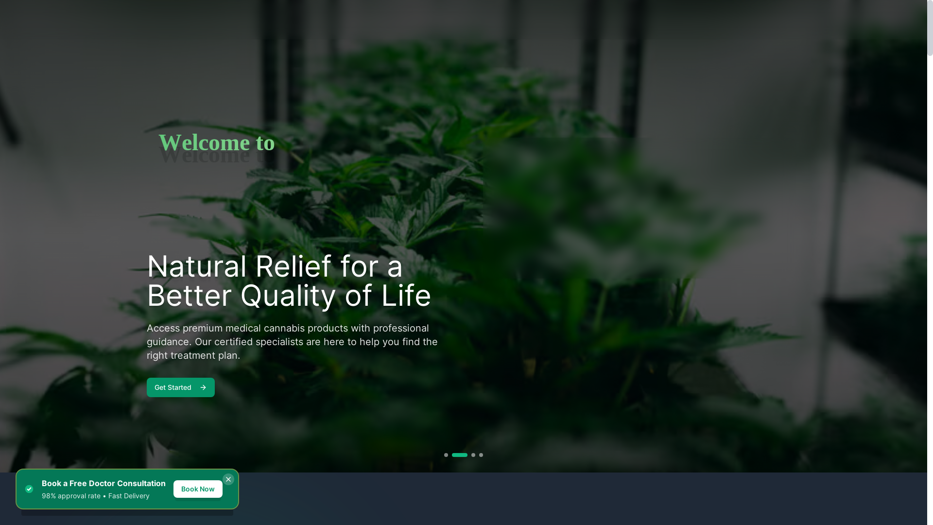 website screenshot of https://thecannasociety.co.za/