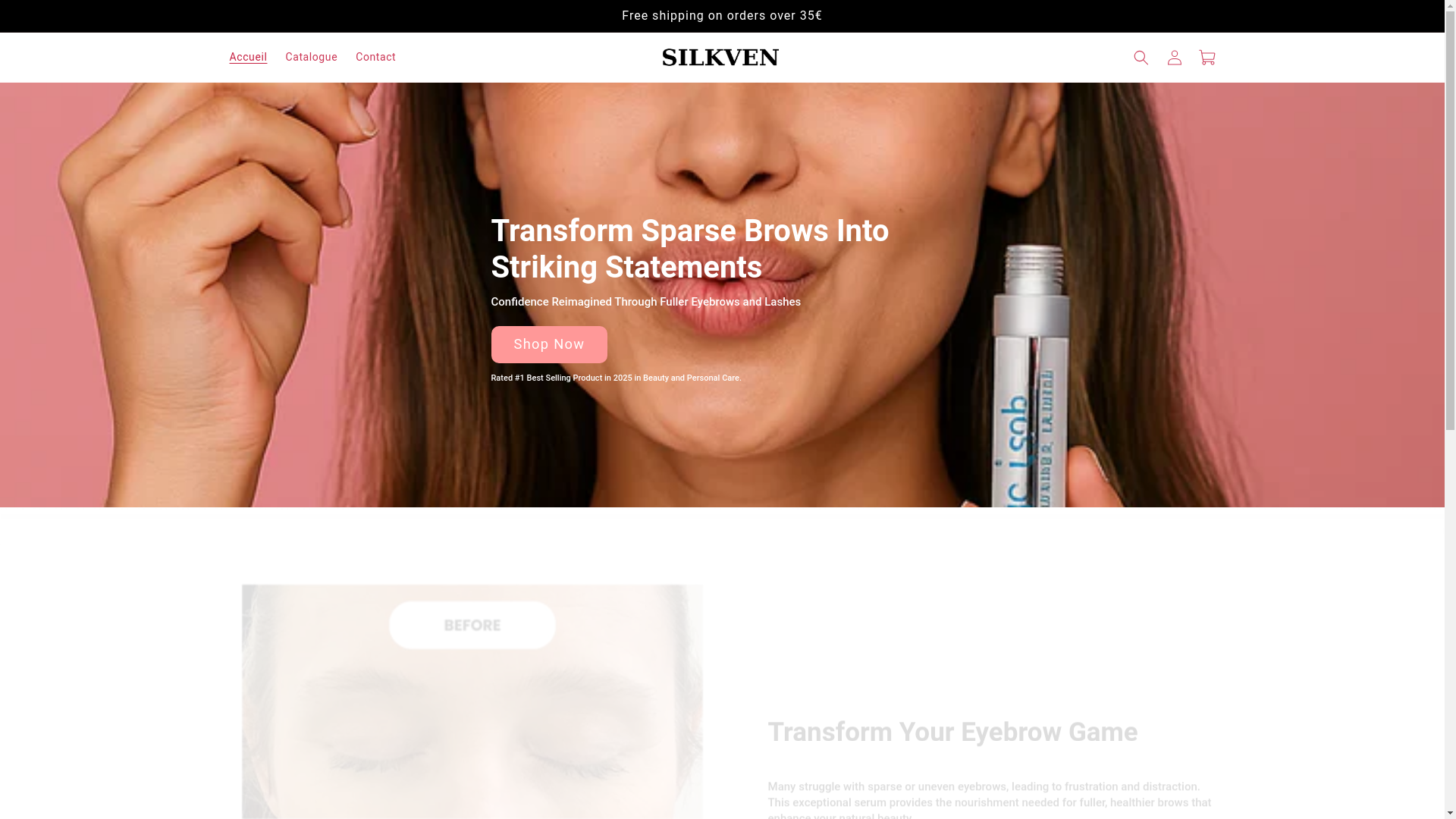 website screenshot of https://silkven.store/