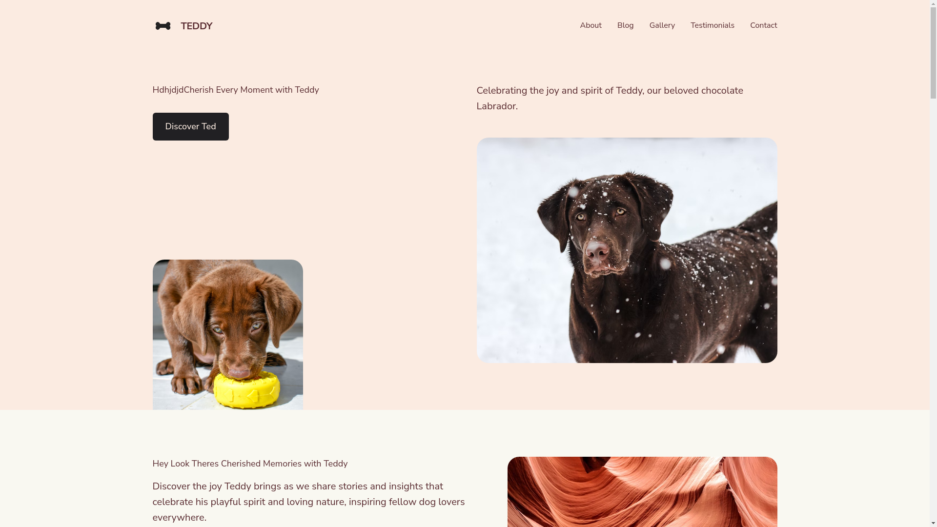 website screenshot of https://heylooktherested.co.uk/