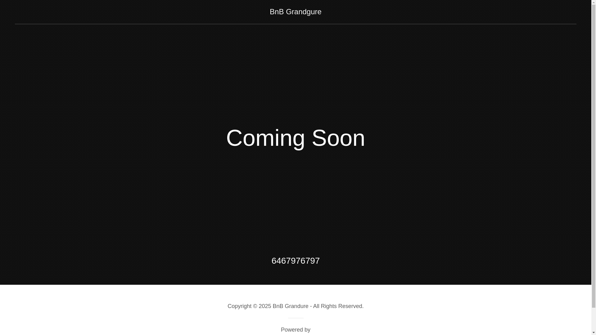 website screenshot of https://truehaven.agency/