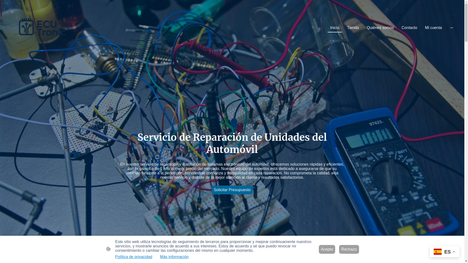 website screenshot of https://ecu-tronic.es/