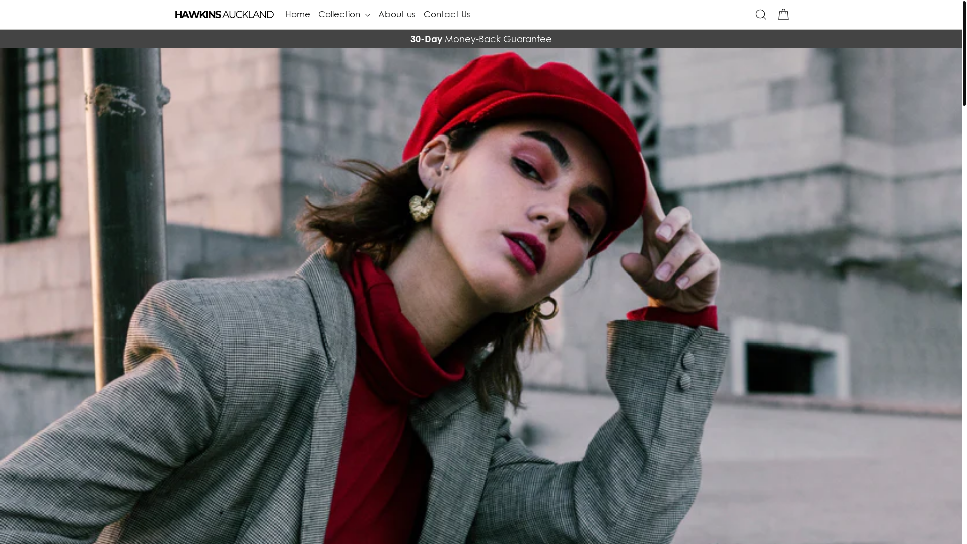 website screenshot of https://hawkins-auckland.com/