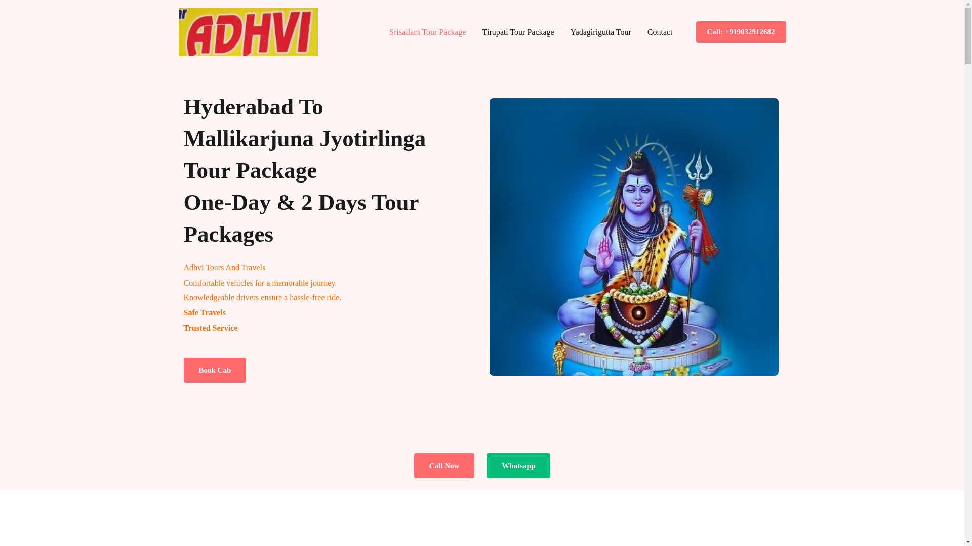 website screenshot of https://adhvitours.in/