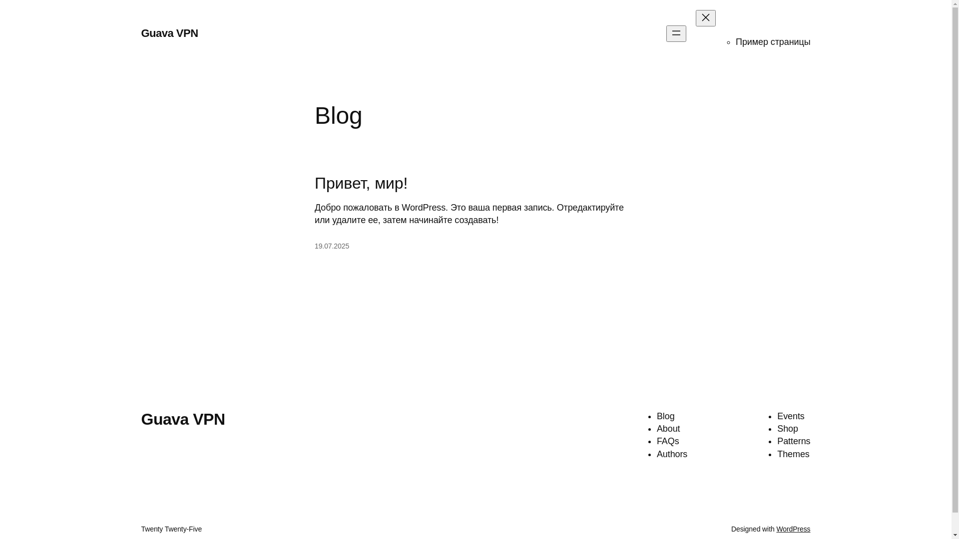 website screenshot of https://guavavpn.com/