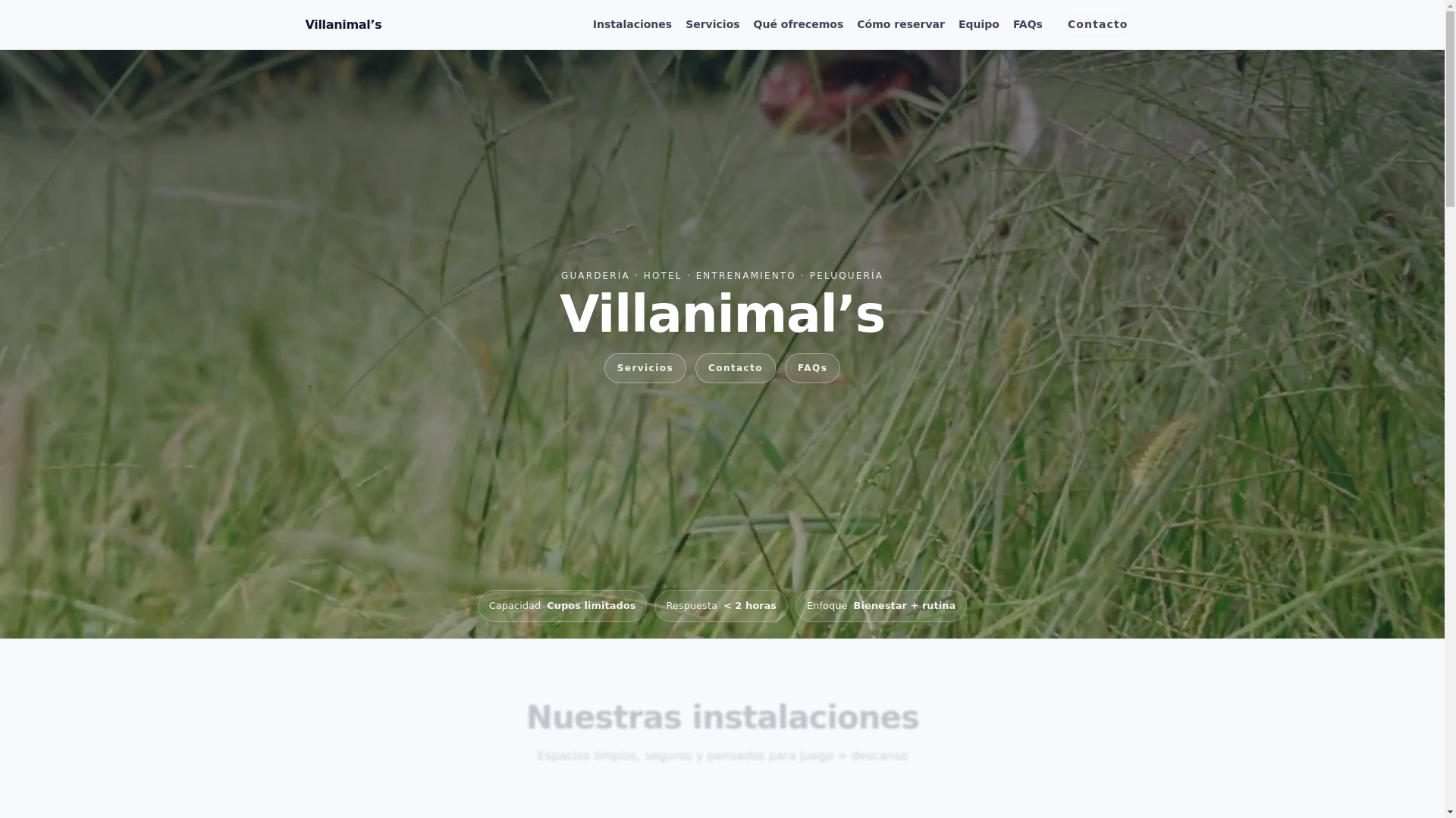website screenshot of https://villanimals.com/