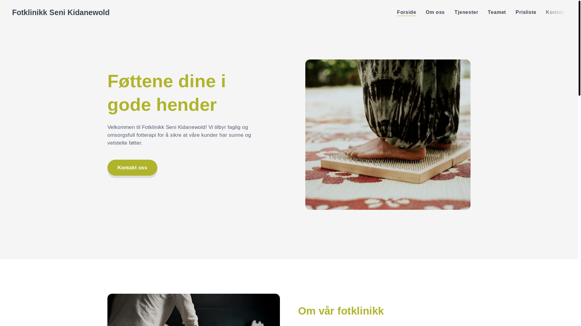 website screenshot of https://fotklinikk-seni-kidanewold.com/