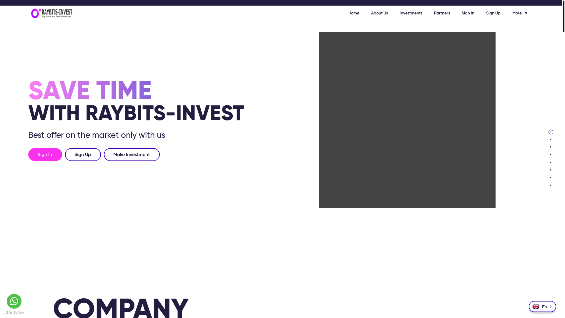 website screenshot of http://raybits-invest.com/