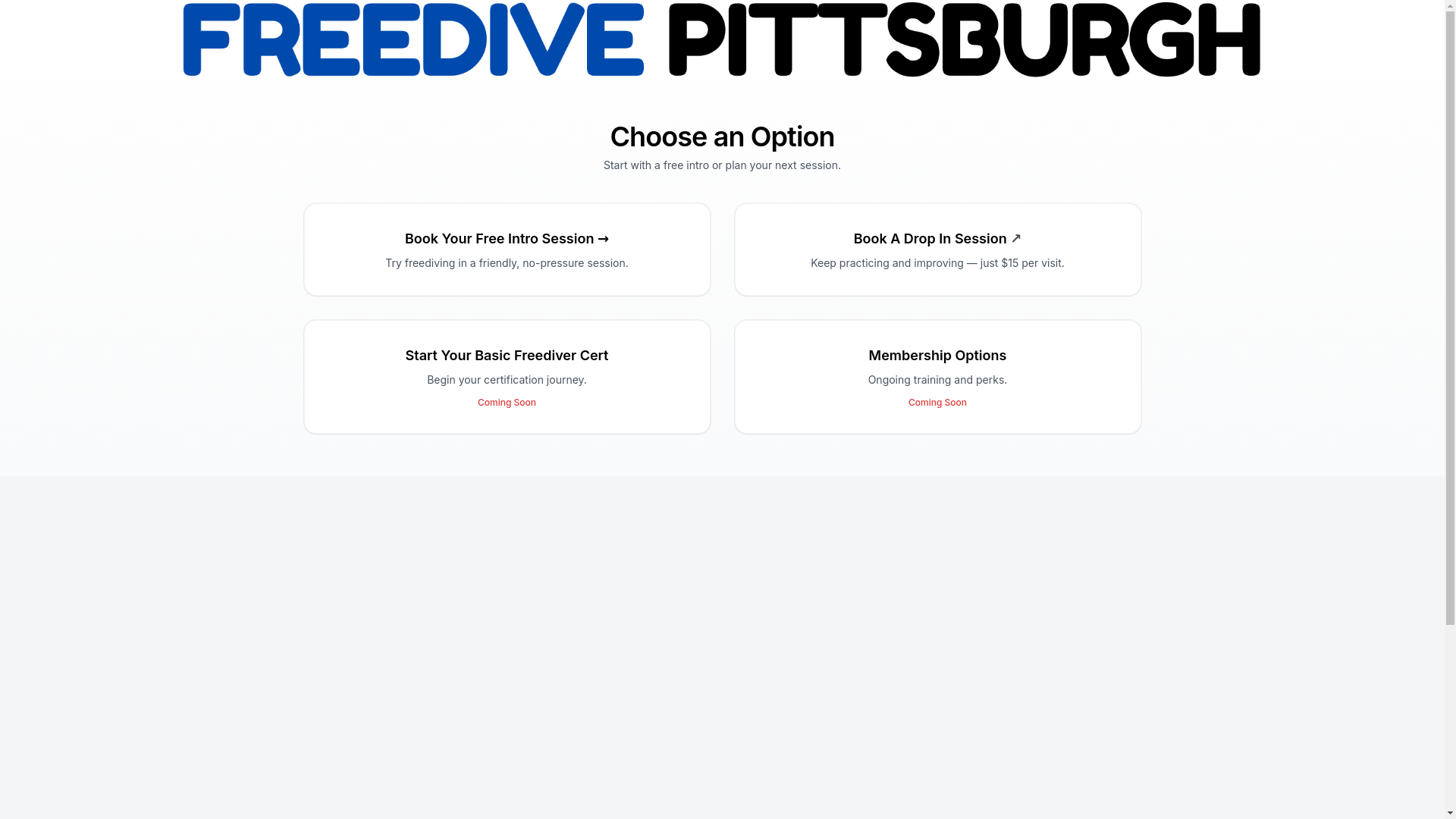 website screenshot of https://freedivepittsburgh.com/
