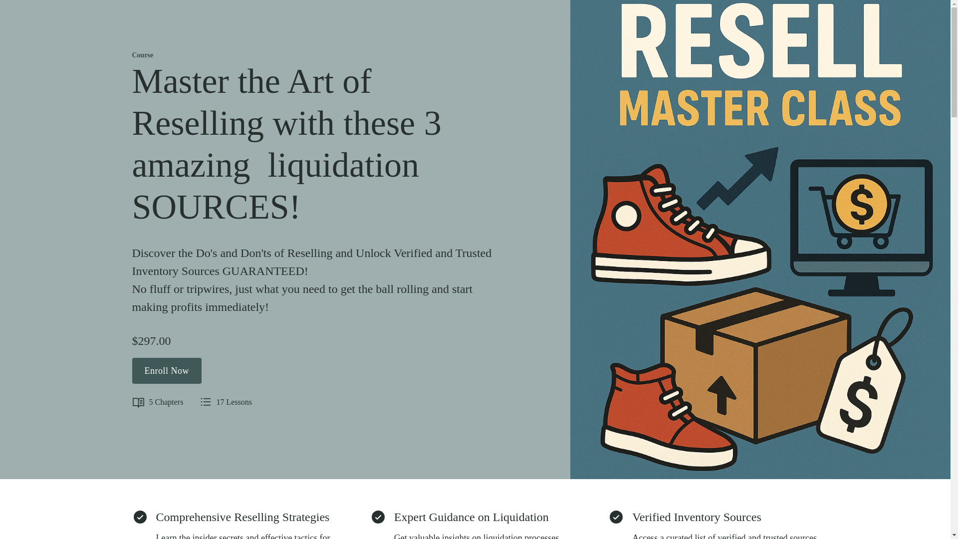 website screenshot of https://resellsourcingblueprint.biz/