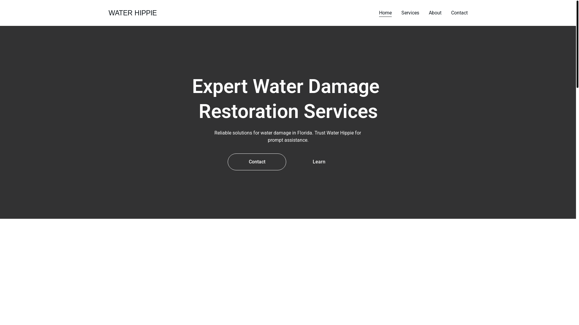 website screenshot of https://waterhippiewaterdamage.shop/