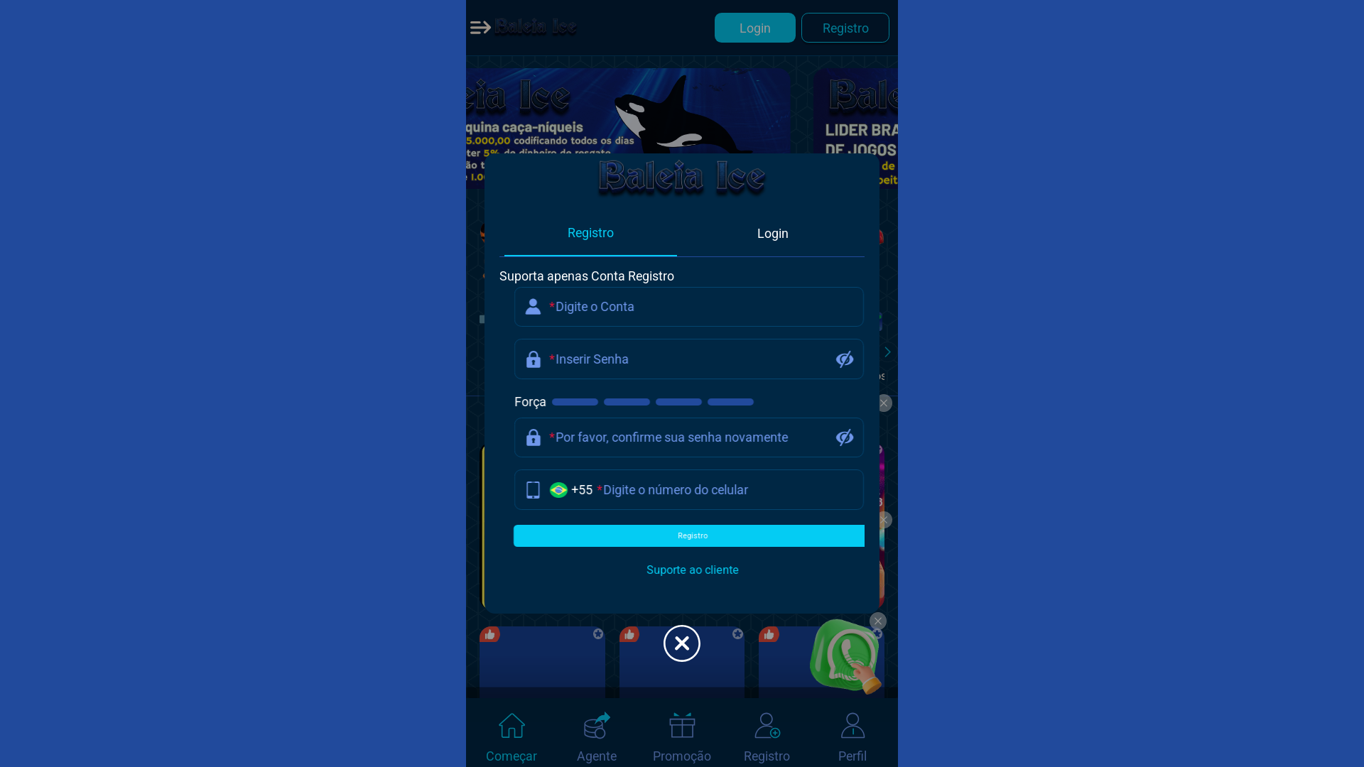 website screenshot of https://baleiaapg.bet/