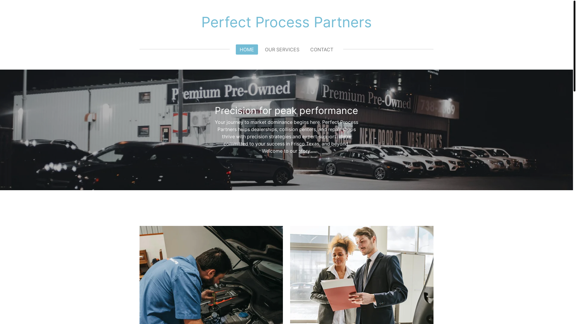 website screenshot of https://perfectprocesspartners.com/