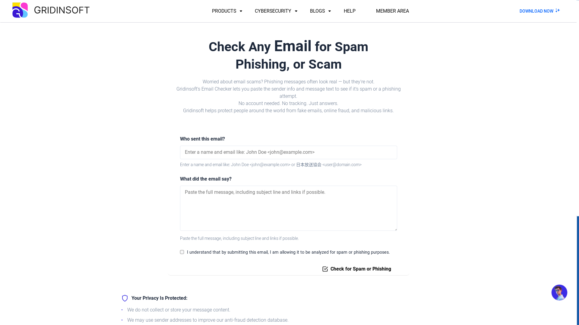 website screenshot of https://gridinsoft.com/email-checker