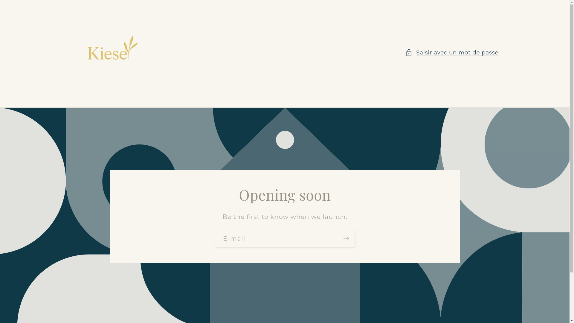 website screenshot of https://kiesestore.com/