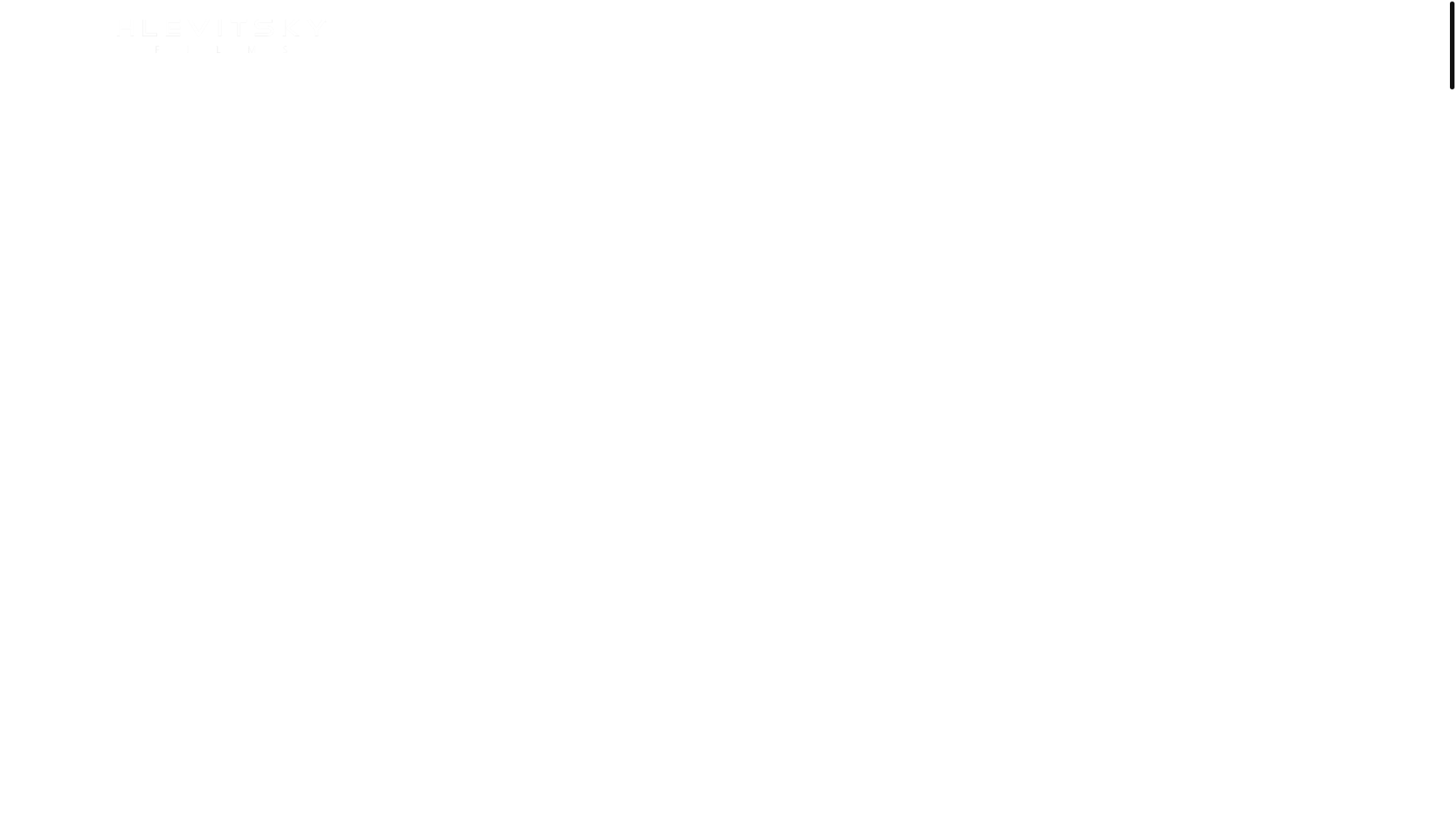 website screenshot of https://hlevitskyfilms.com/