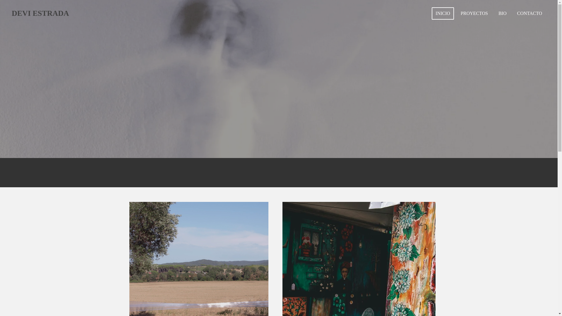 website screenshot of https://deviestrada.com/