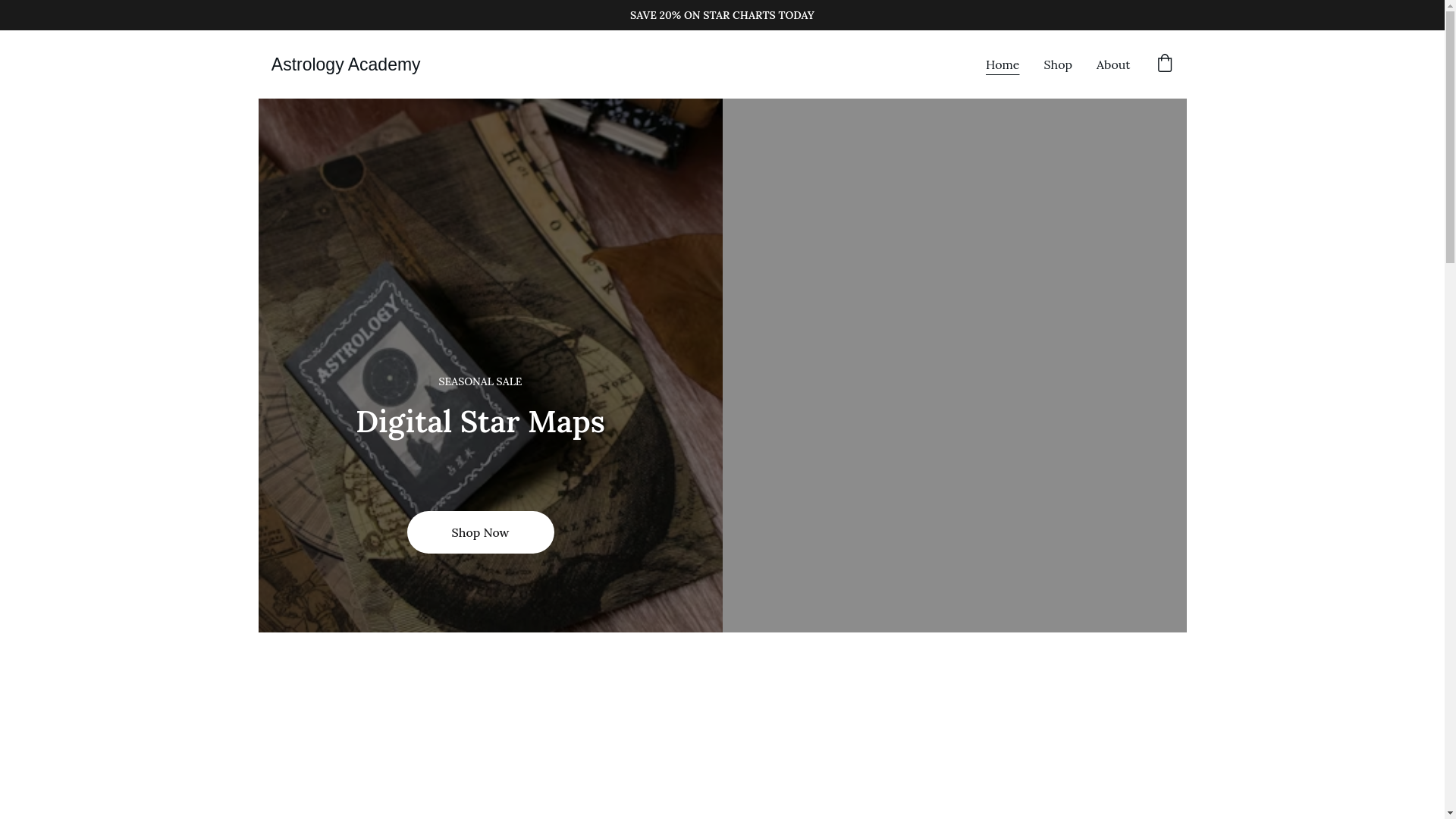 website screenshot of https://astrology-academy.shop/