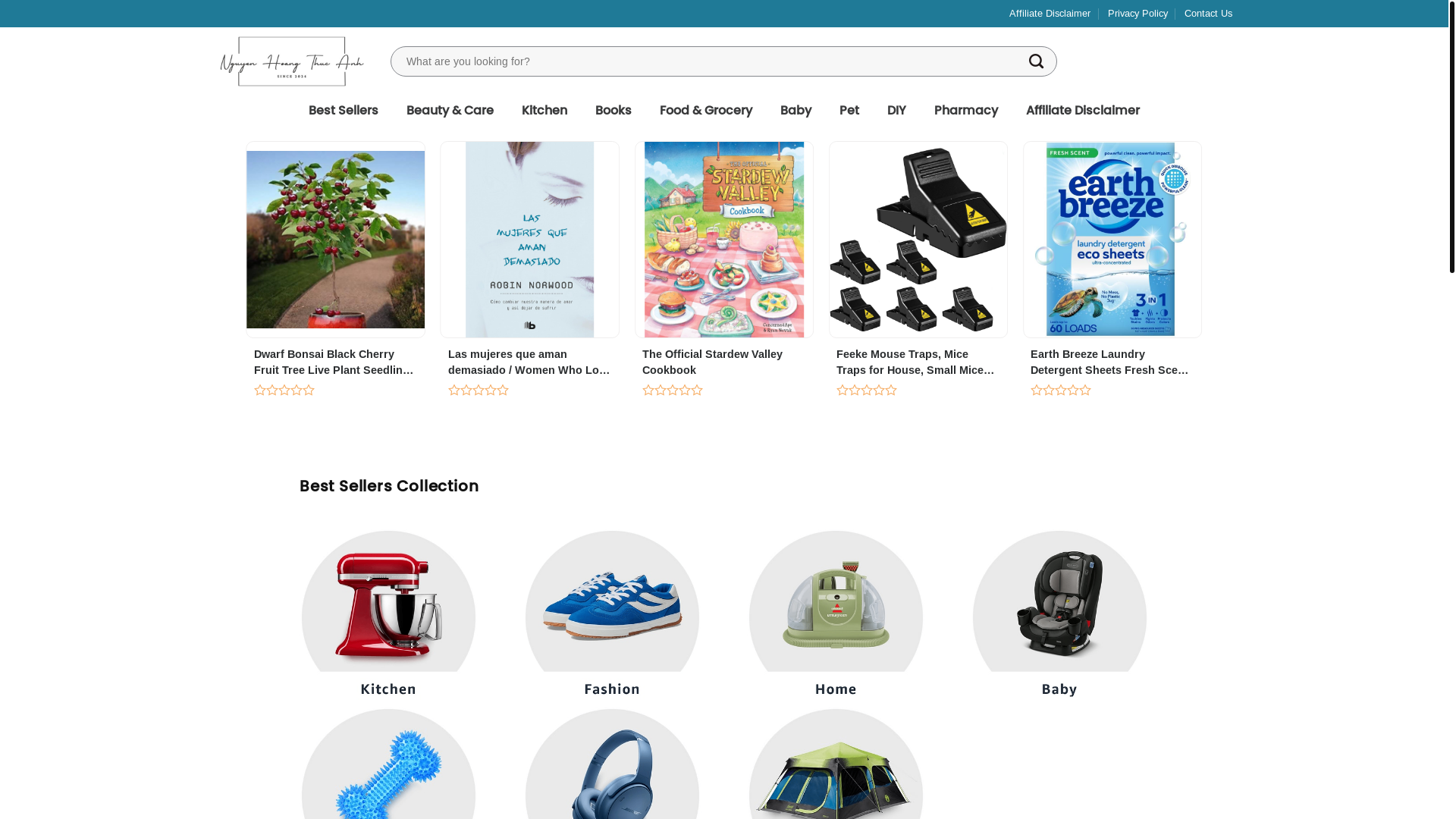 website screenshot of https://nguyenhoangtuanh.com/