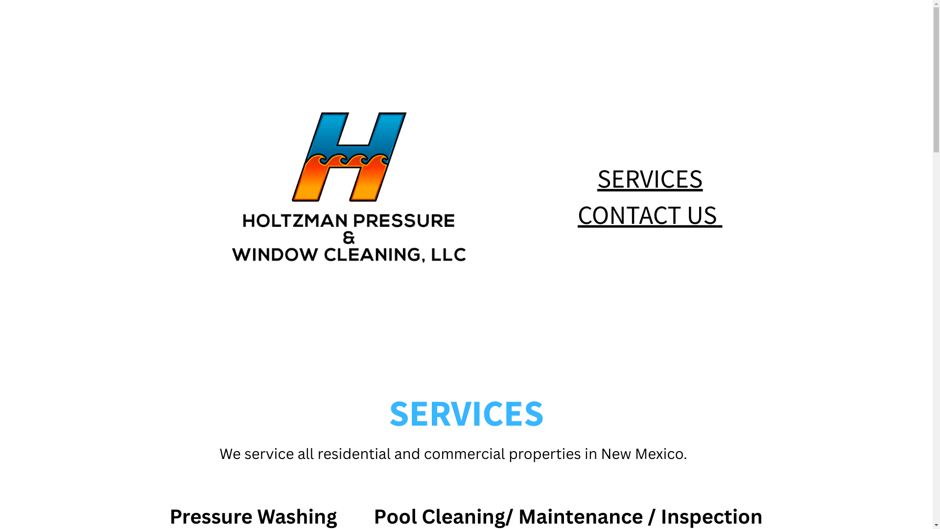 website screenshot of https://holtzmanpwwc.com/