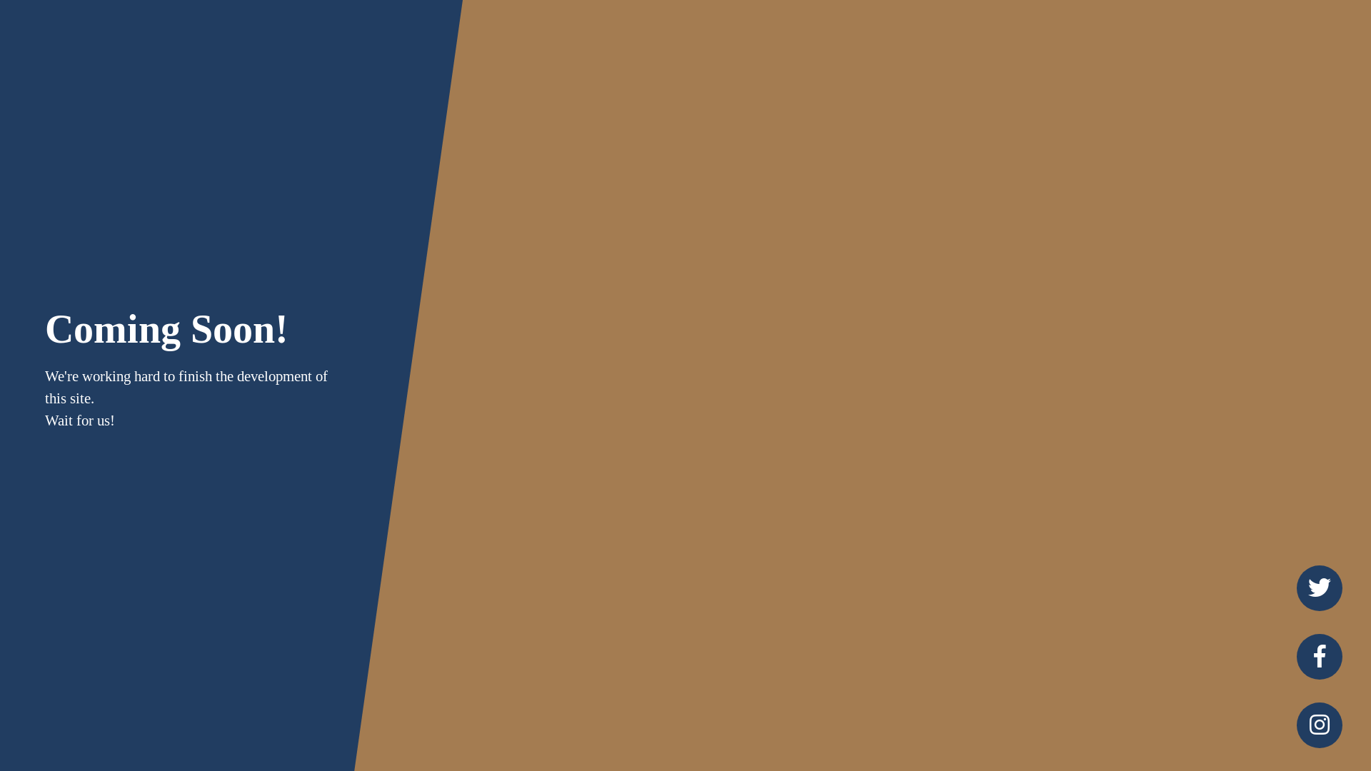 website screenshot of https://eviana-global.com/